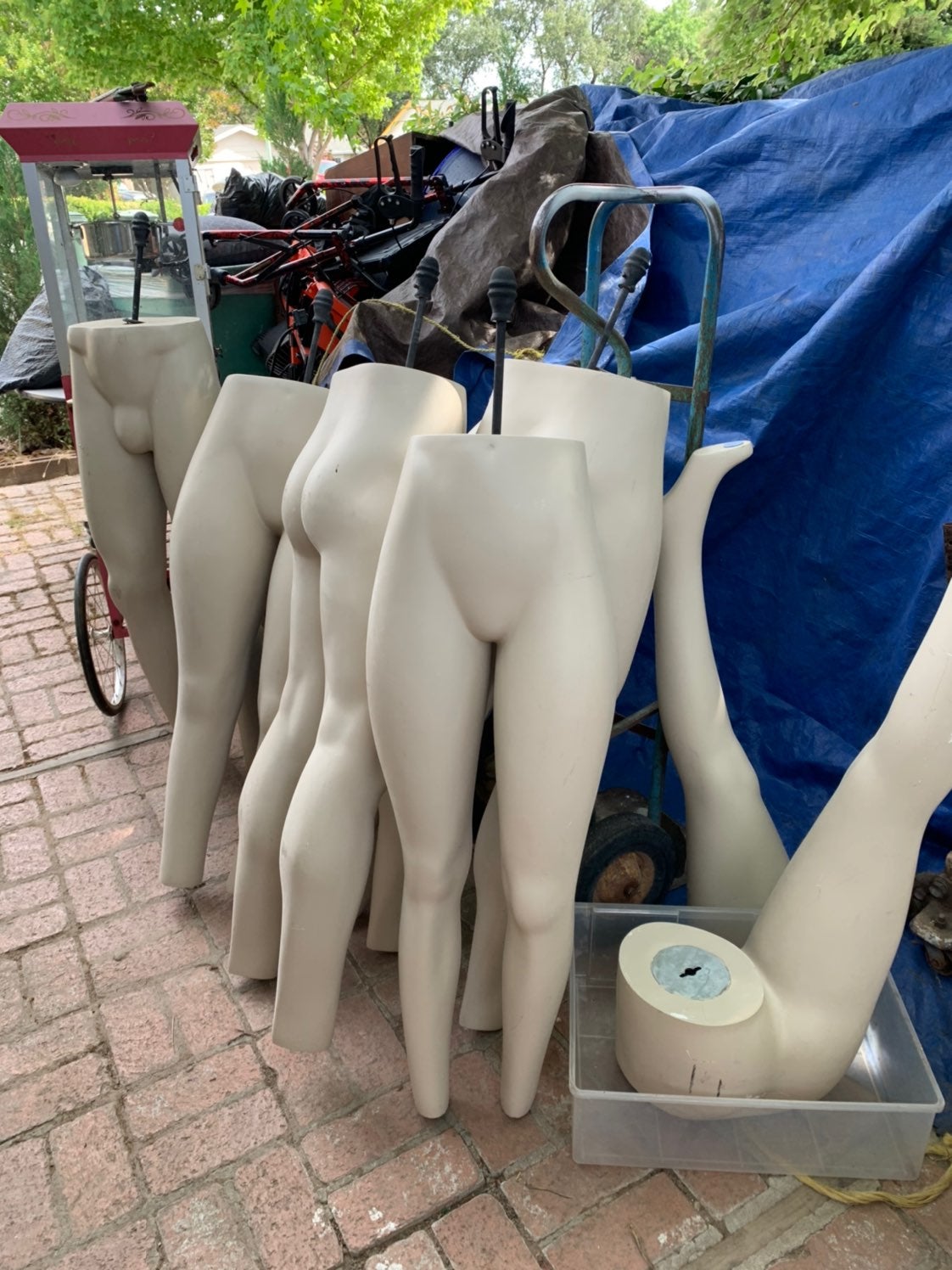 mannequin