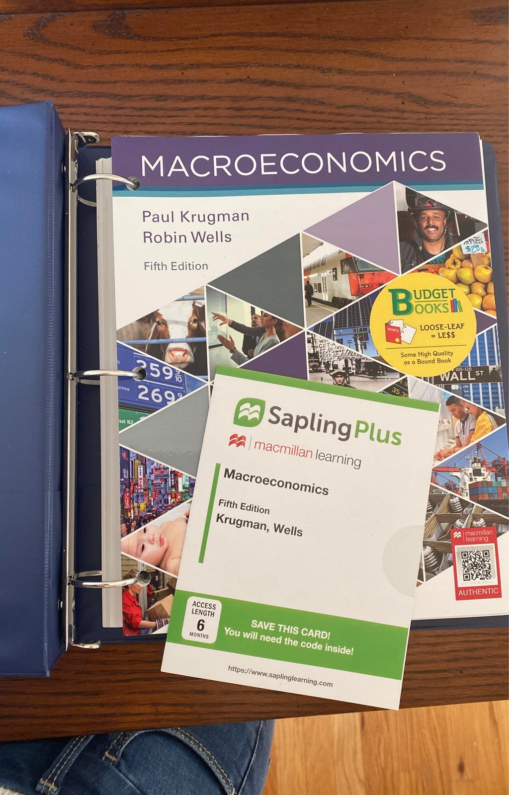 Macroeconomics textbook and code
