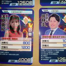 Modern Mahjong Fair Card Set M League