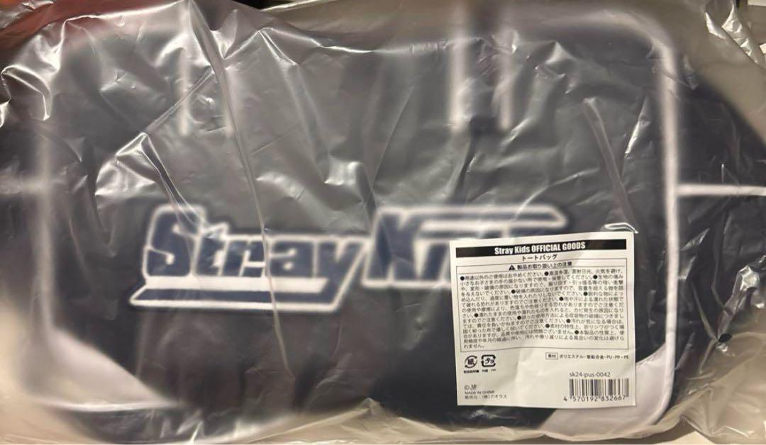 Stray Kids bag