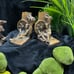 Huck Finn bookends