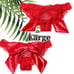 NEW L VS Lace & Velvet Bow Ouvert Cheeky
