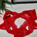 NEW L VS Lace & Velvet Bow Ouvert Cheeky
