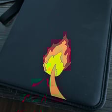 Pokémon cards with binder