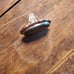 turqoise Ring