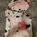 ♥︎New Dog Cow Costume ♥︎