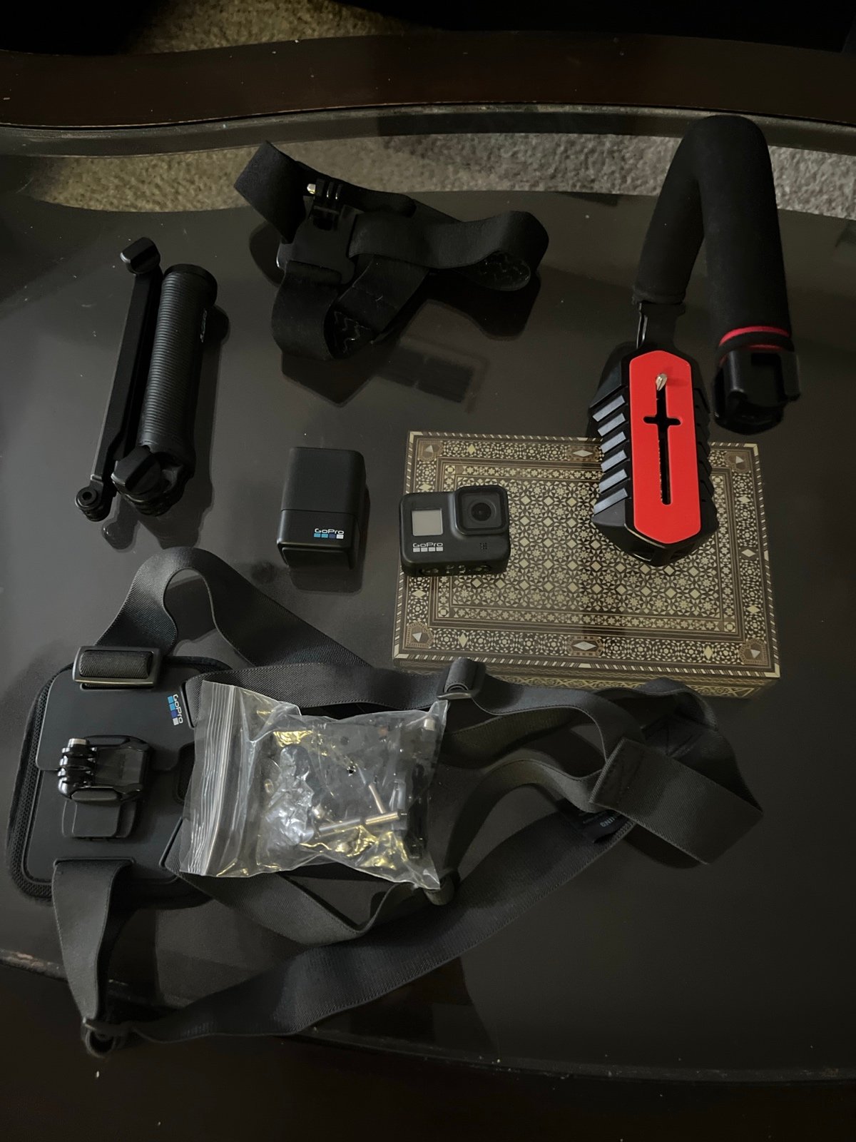Go Pro