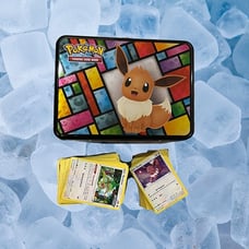 2021 Eevee Pokemon Trading Card Game Lunchbox Treasure Chest Card lot