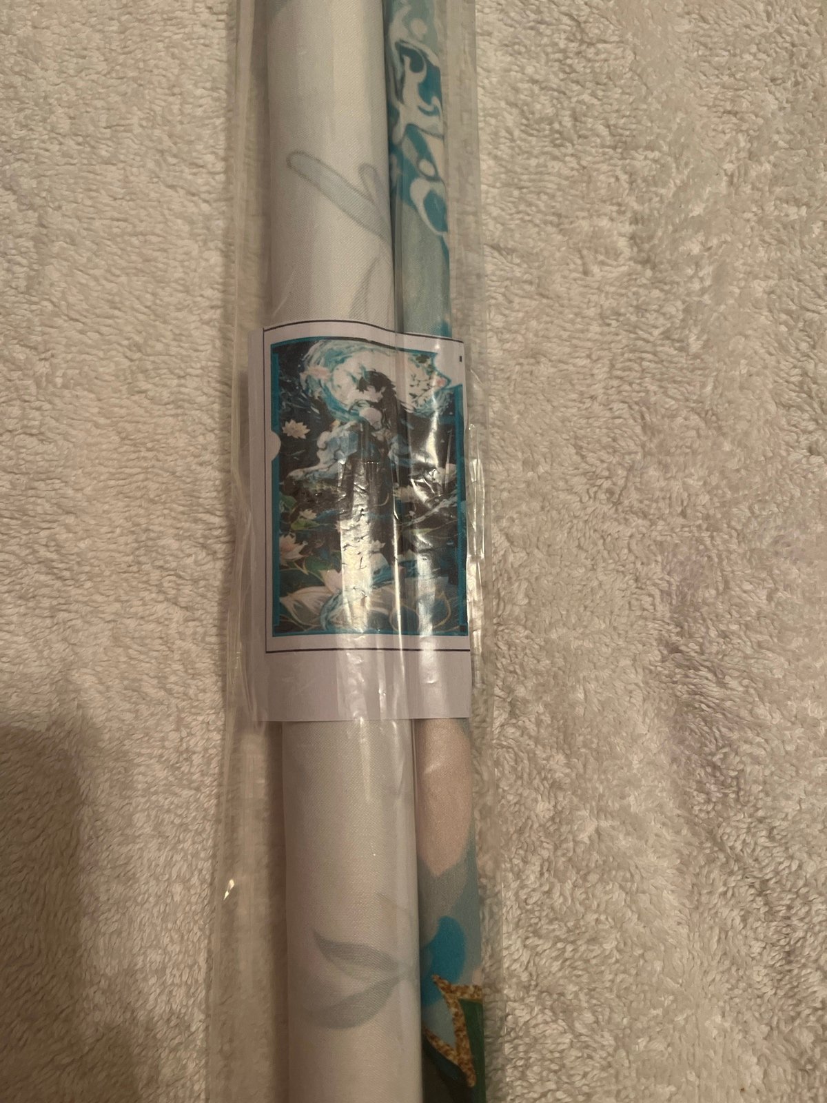 brand new Honkai star rail dan heng poster