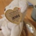Ty Beanie Babies Halo II The Bear- Retired -Limited Edition-Brown nose with tags