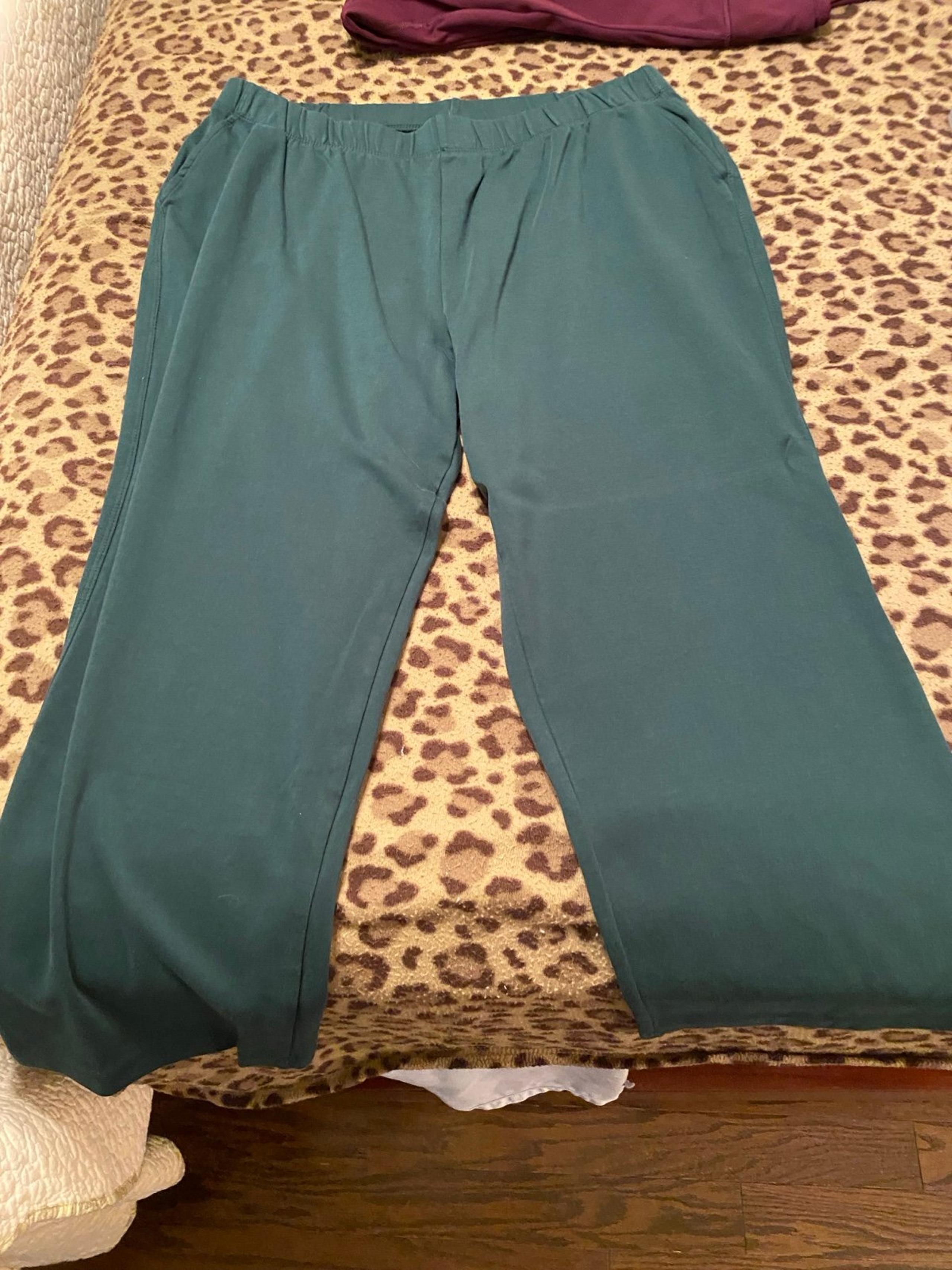 Lands End Knit Pants NWOT XL/P