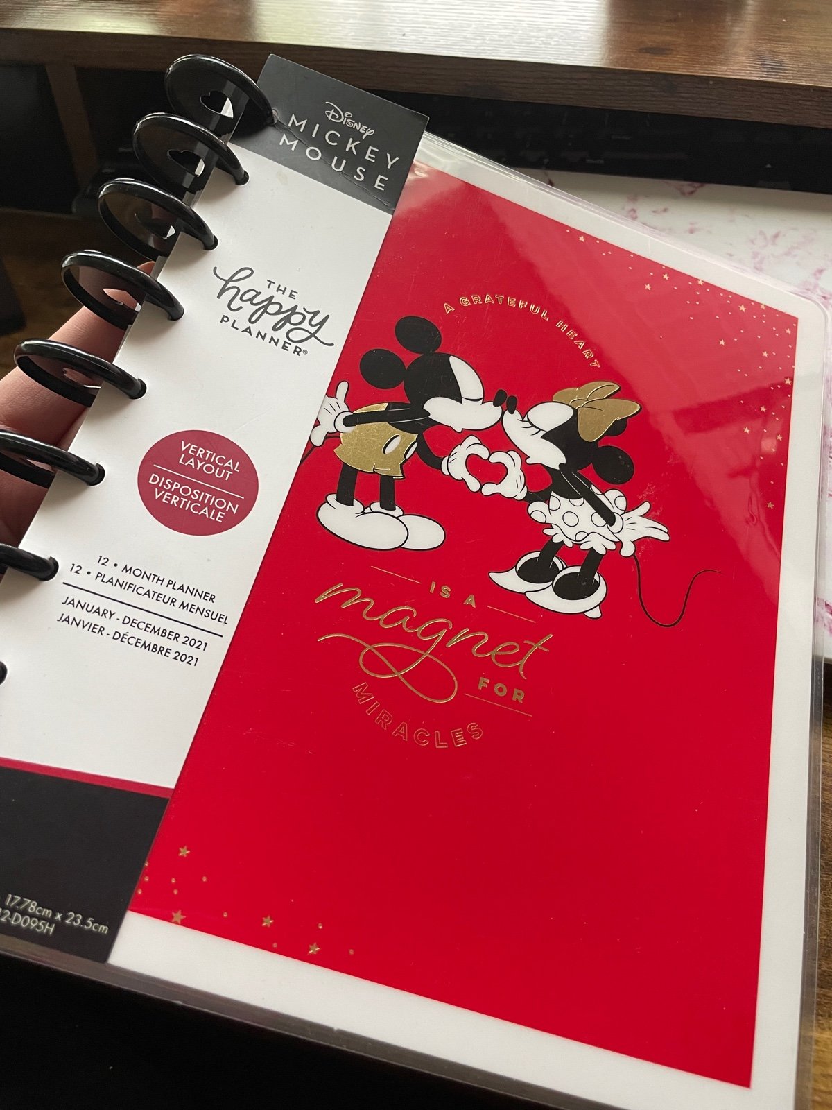 Happy Planner Disney Planner (outdated) 12 month
