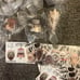 Dorohedoro Head Mascot Collection 2 Complete Set Gasha Capsule Toy