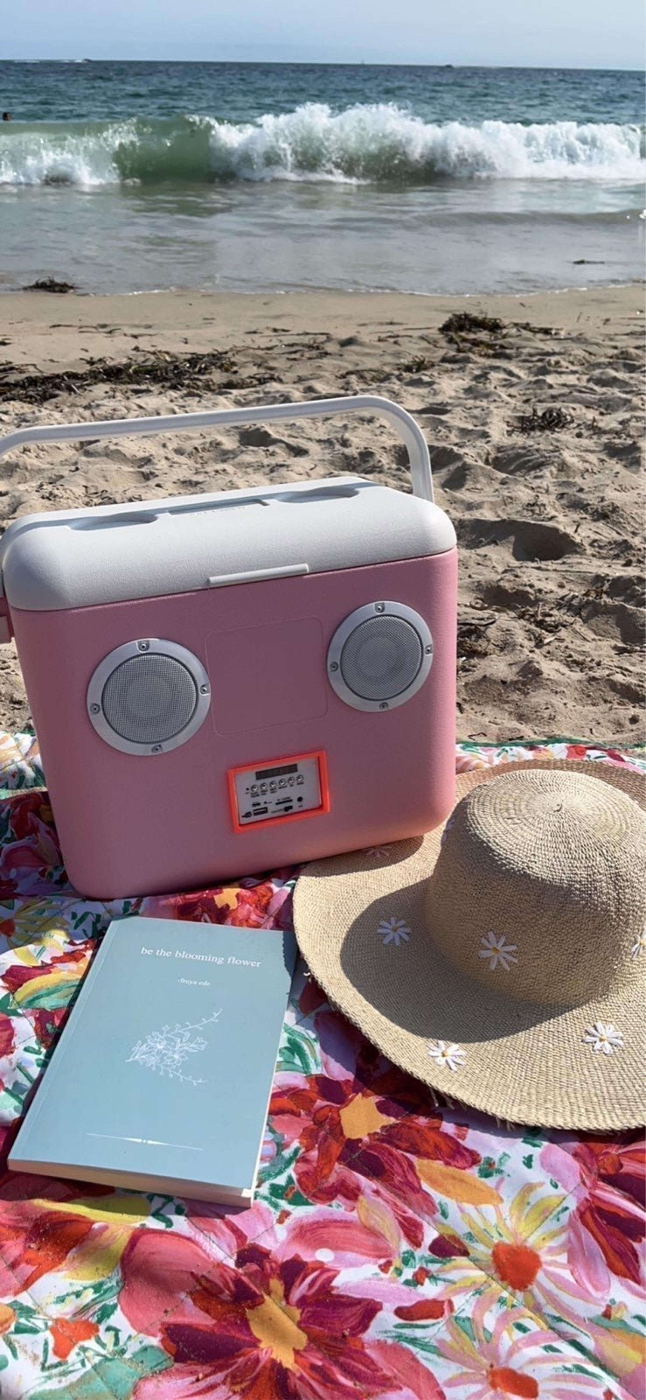 Sunnylife Bluetooth beach cooler and speaker