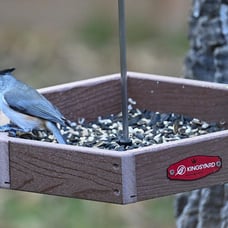Kingsyard Platform Bird Feeder for Outdoor Hanging - Rugged Recycled Plastic Wil