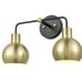 Light Fixture.