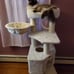 Faux Fleece Cat Tree & Condo, 55.5-in