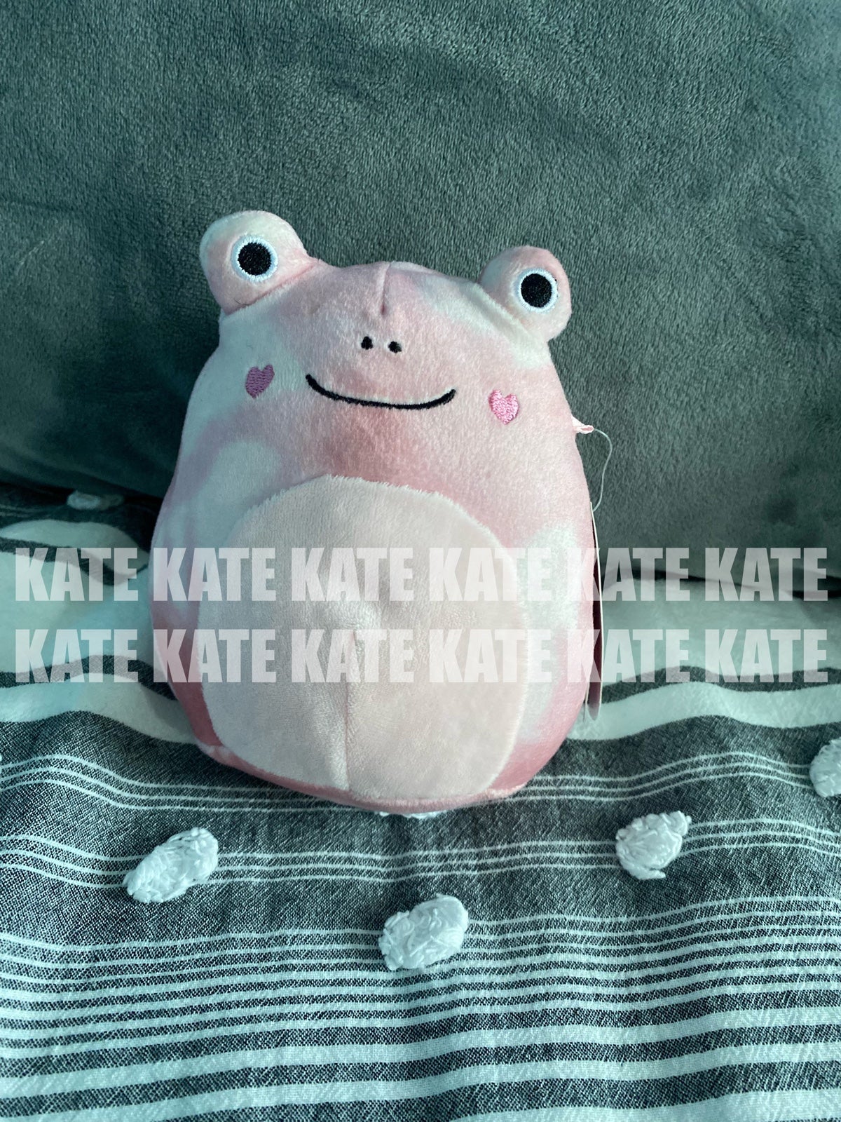 NWT Fanina Squishmallow 5” PB5697 NWT Fanina Squishmallow 5” PB5697