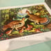 Set of Currier & Ives reproduced prints. Collectable Prints. Currier & Ives.