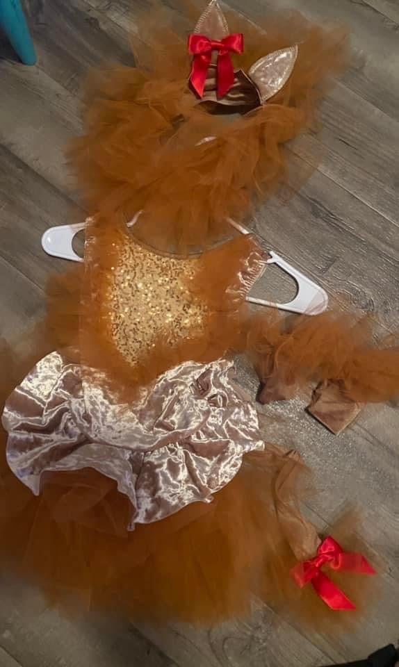 WIZARD OF OZ GIRLS LION COSTUME SIZE 4t-6t!