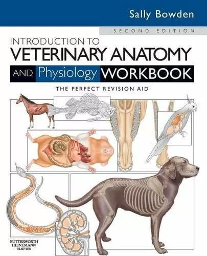 Introduction to Veterinary Anatomy and Physiology Workbook FREE EXPEDITED SHIPPI