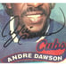SIGNED 1987 Andre Awesome Dawson Chicago Cubs MVP Trading Card Plaque Signature