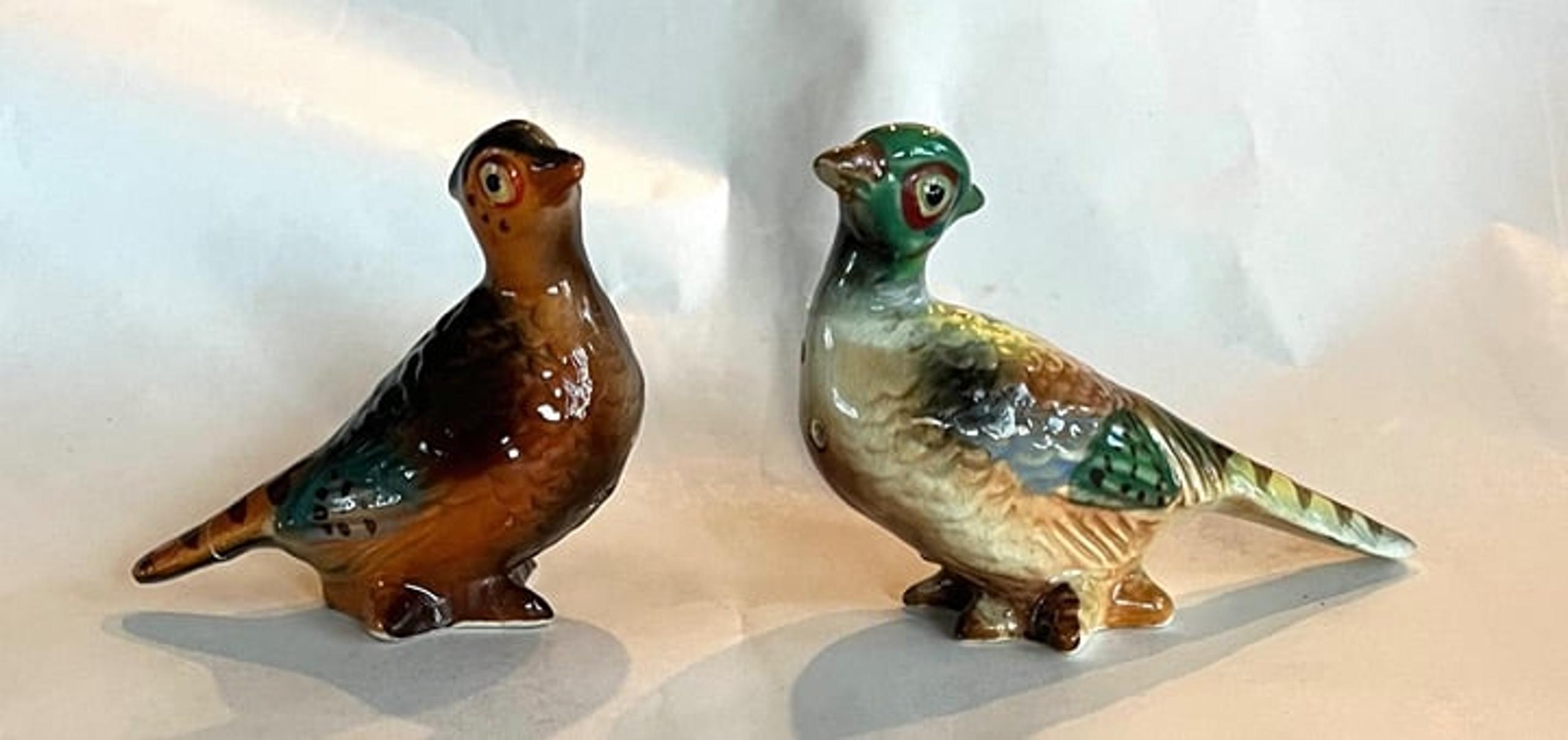 Vintage Pair of Pheasants Salt & Pepper Shakers. Hand Painted Ceramic