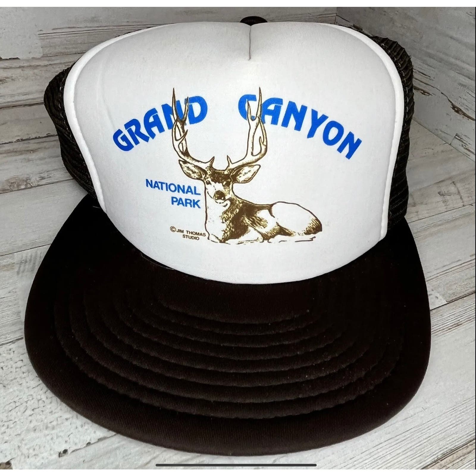 Vintage Grand Canyon Snap Back Trucker Hat
