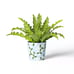 Rifle Paper Co. x Target Small Indoor Planter - Hydrangea