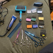 misc. dog grooming equipment