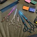 misc. dog grooming equipment