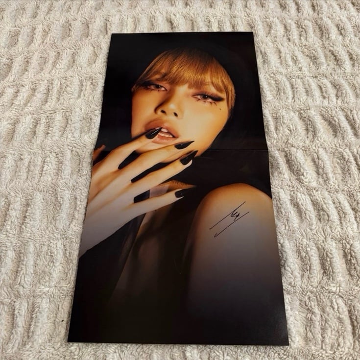 Lisa Alter Ego Signed Vinyl Poster INSERT (no vinyl)