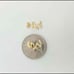 14K Yellow Gold Dargon Stud Earrings