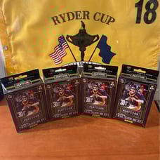 Panini Playbook Hanger Box Lot