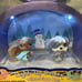 NEW '08 Littlest Pet Shop Wintertime Pals Light Up Dome W/batt WORKS Target excl