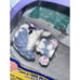 NEW '08 Littlest Pet Shop Wintertime Pals Light Up Dome W/batt WORKS Target excl