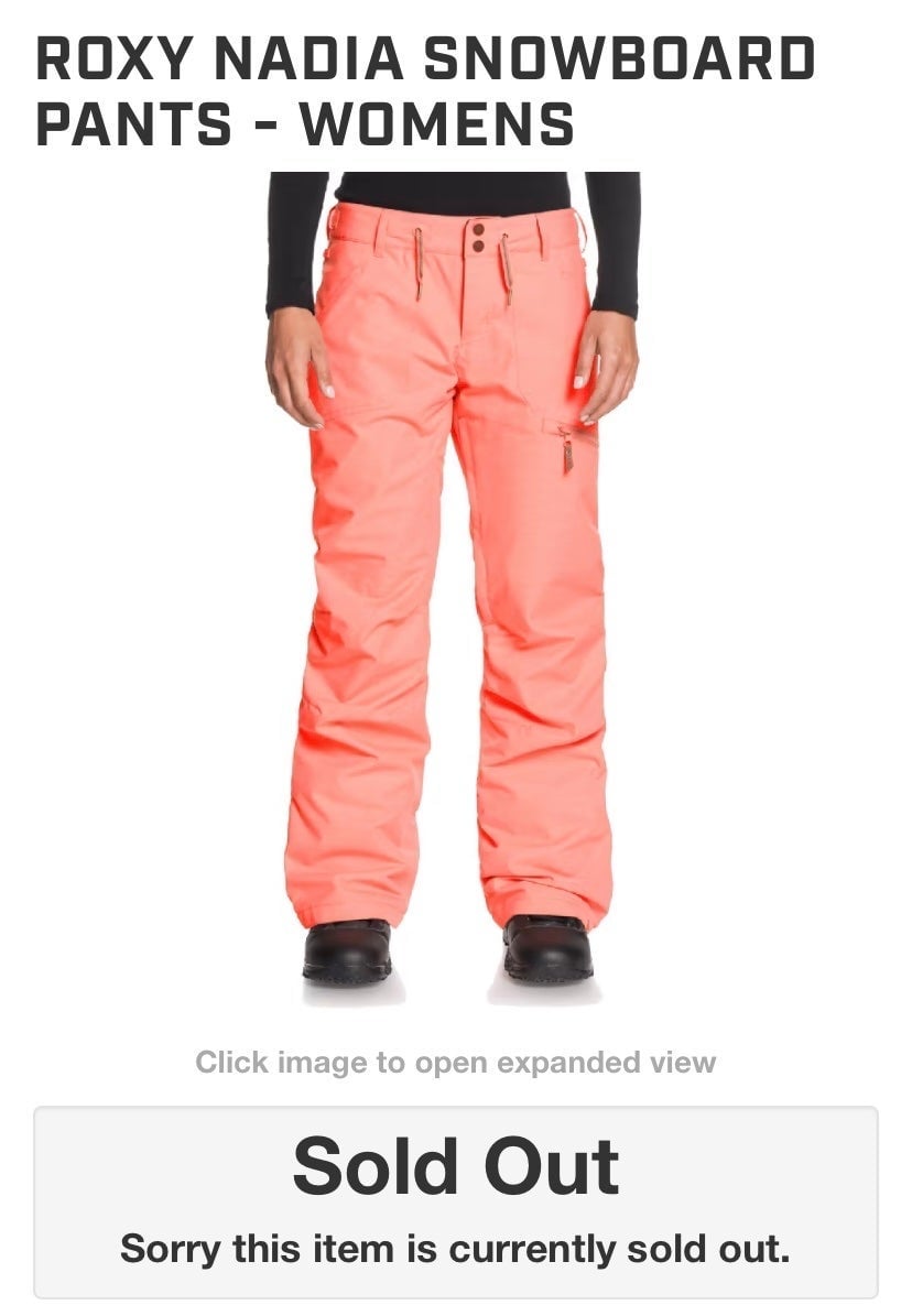 BRAND NEW Roxy Snowboarding Pants