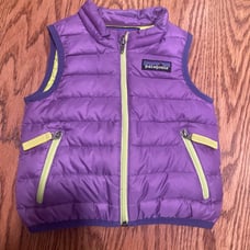 Patagonia Down Vest