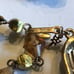 Jewels by Trifari Green & Rainbow Beaded AB 3 Strand Necklace Clip On Earrings