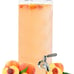 Drink Container Dispenser With Stainless Steel Spigot, 80 oz (2.36 Liters)