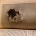 1924 1st edition- Joseph Pulitzer His li