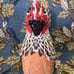 John Derian x Target Beaded Turkey and Chicken Plush Pillow Bundle