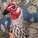 John Derian x Target Beaded Turkey and Chicken Plush Pillow Bundle