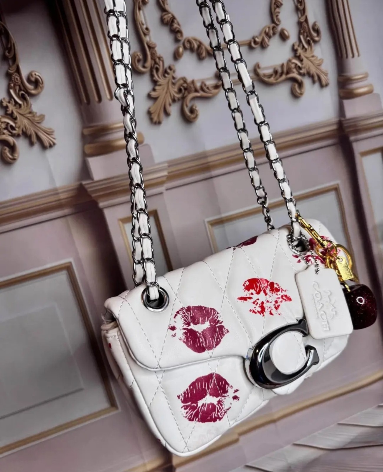 Coach Cute Bag