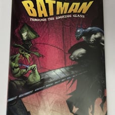 BATMAN Through the Looking Glass by Bruce Johns (2012, Hardcover)