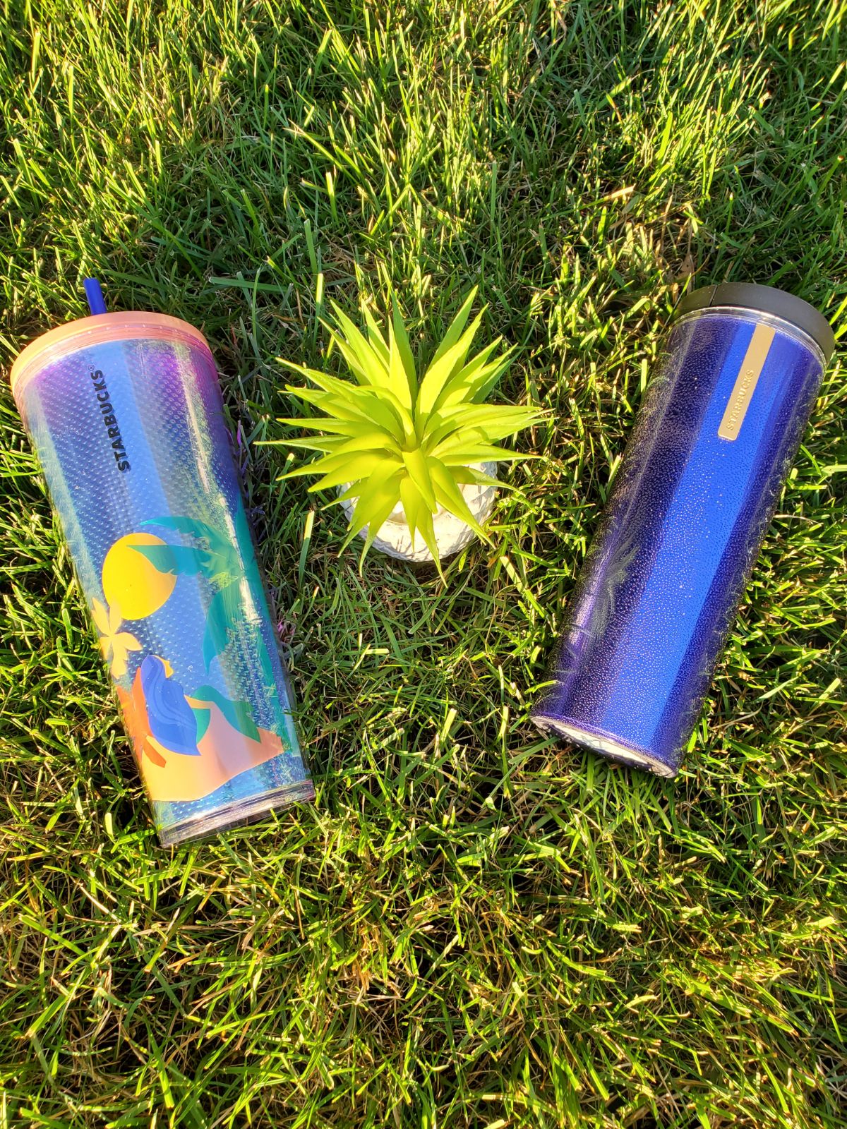 Starbucks Tumbler duo