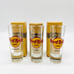 HARD ROCK CAFE City Shotglass — ROME, FLORENCE, & VENICE