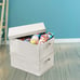 Foldable Storage Bins with Lids, 2 Pack, Storage Boxes with Carrying Handle