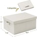 Foldable Storage Bins with Lids, 2 Pack, Storage Boxes with Carrying Handle