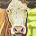 Original Art Cow Farm House Animal Colored Pencil Drawing Artwork 6”x8”